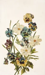 Nature morte, pensées et narcisses